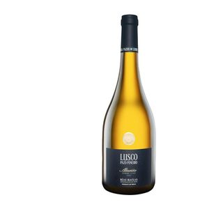 Vino Blanco Albariño Pazo Piñeiro