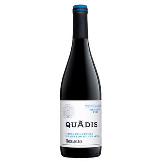 Vino Tinto Quadis Joven