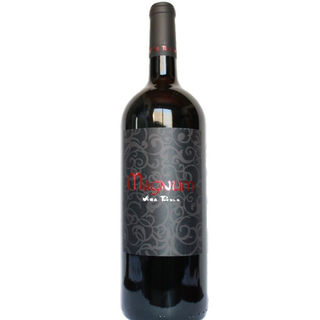 Vino Tinto Viña Puebla Magnum