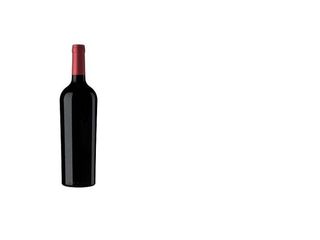 Ponte da Boga P, Mencía (75 cl.)