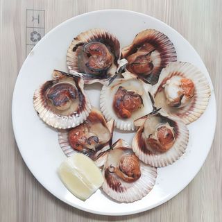 Zamburiñas En Su Concha A La Plancha