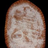 Torta típica de Granada de cabello de ángel