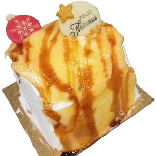 TRONCO DE SAN MARCOS PEQUEÑO