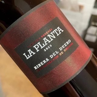 La Planta