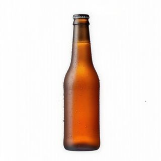 Budejovicky Budvar (33 cl.)