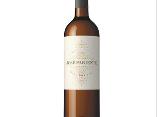 JOSÉ PARIENTE VERDEJO
