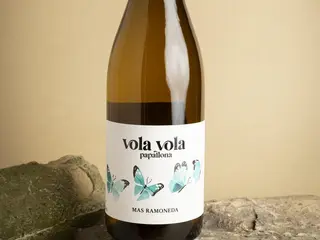 VOLA VOLA PAPALLONA