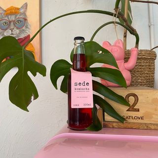 Kombucha Flor de Hibiscus (330 ml.)
