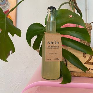 Kombucha SEDE de limón y jengibre (330 ml.)