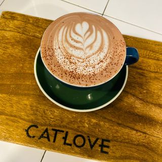 Cacao bio
