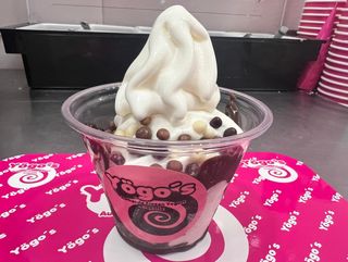 Yogurt Helado Mediano (230 ml.)  