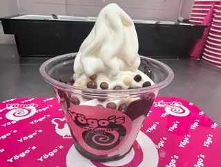 Yogurt Helado Grande (350 ml.)