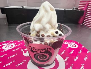 Yogurt Helado Grande (350 ml.)