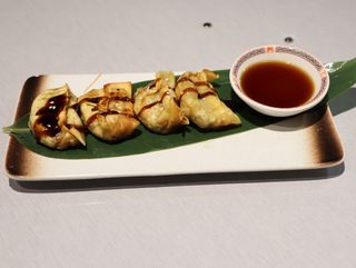 19. Gyoza De Pato A La Plancha (4 uds.)