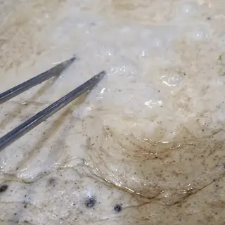 Extra Salsa Pimienta