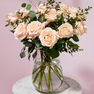 11 Rosas XL Crema