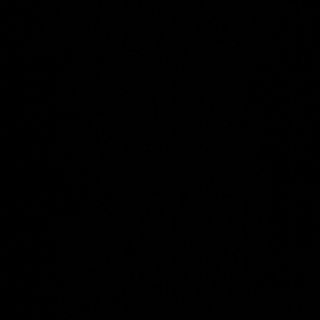 90- ternera con bambú y setas 