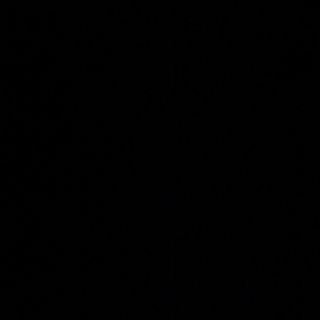 94- arroz tres delicias con gambas 