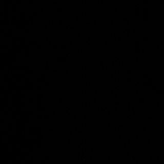 91- gamba con bambú y setas 