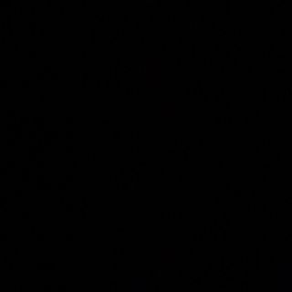 80B- ternera estilo shaku 