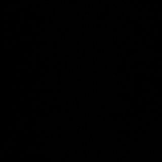 93B- arroz frito con ternera 