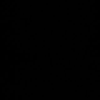 95C- arroz al curry con ternera 