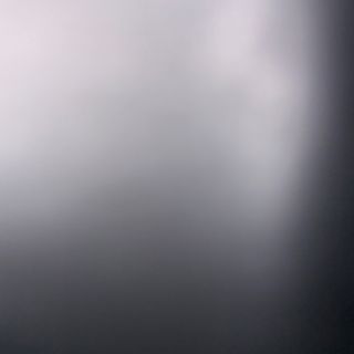  59- Rollito de langostino 