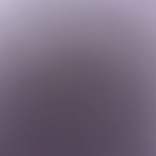 91B- gambas con salsa picante 