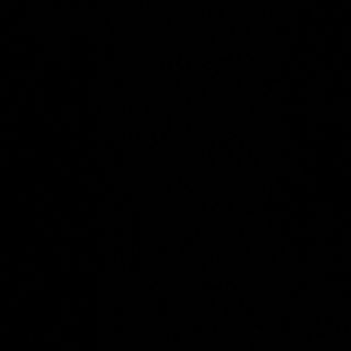 252- verduras con salsa picante 