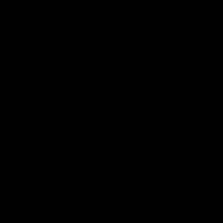 95B- arroz al curry con pollo 