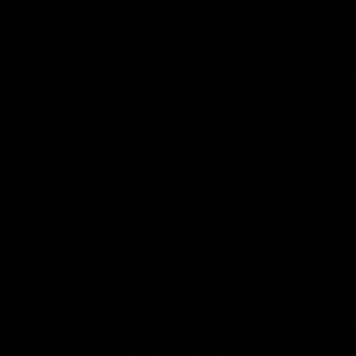 94B arroz tres delicias 