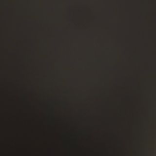 73- gyozas de verduras 