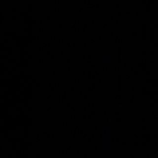 95D- arroz al curry con gambas 