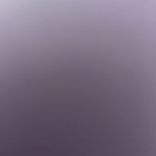 86- pollo con salsa picante 