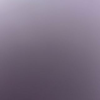 251- verdura con salsa de ostras 