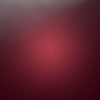 98B- udon con ternera 