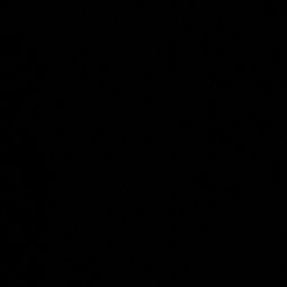 87C- pollo con salsa curry 