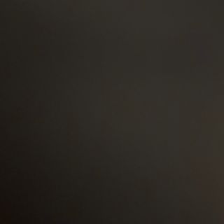 66- calamares a la romana 