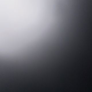 80A- pollo estilo shaku 