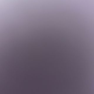 92- gambas con sal y pimienta 