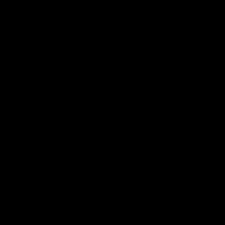 250- verduras con bambú y setas 