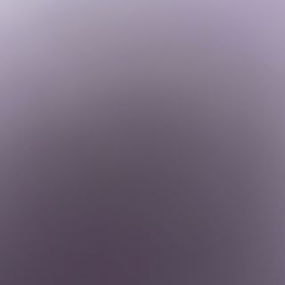 96- katsudon con teriyaki 