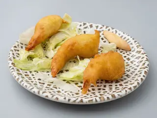 Tapa Gabardinas