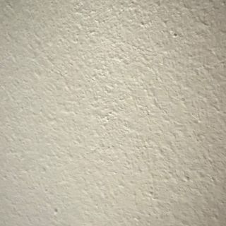 Ternera Con Pimientos Verdes