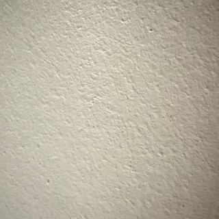 Pollo Con Chop Suey De Verduras