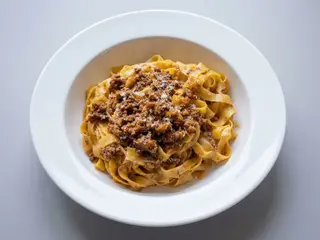 Bolognesa