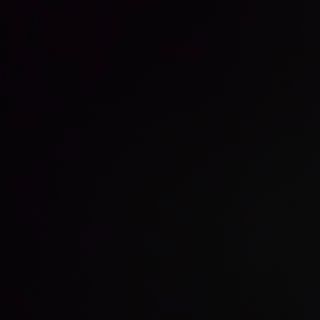 Cerdo Estilo Moon - Shi