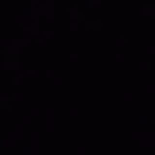 Bambú Y Setas China Salteadas