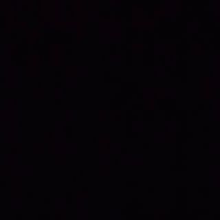 Cerdo Con Fideos Chino