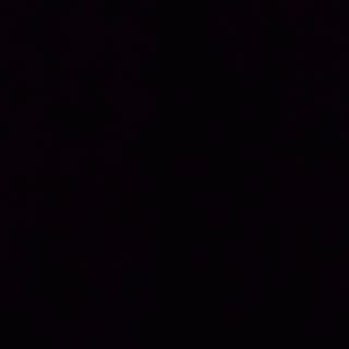 Cerdo Con Salsa De Ostras